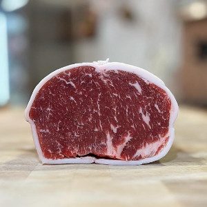 Angus à Le Beausset